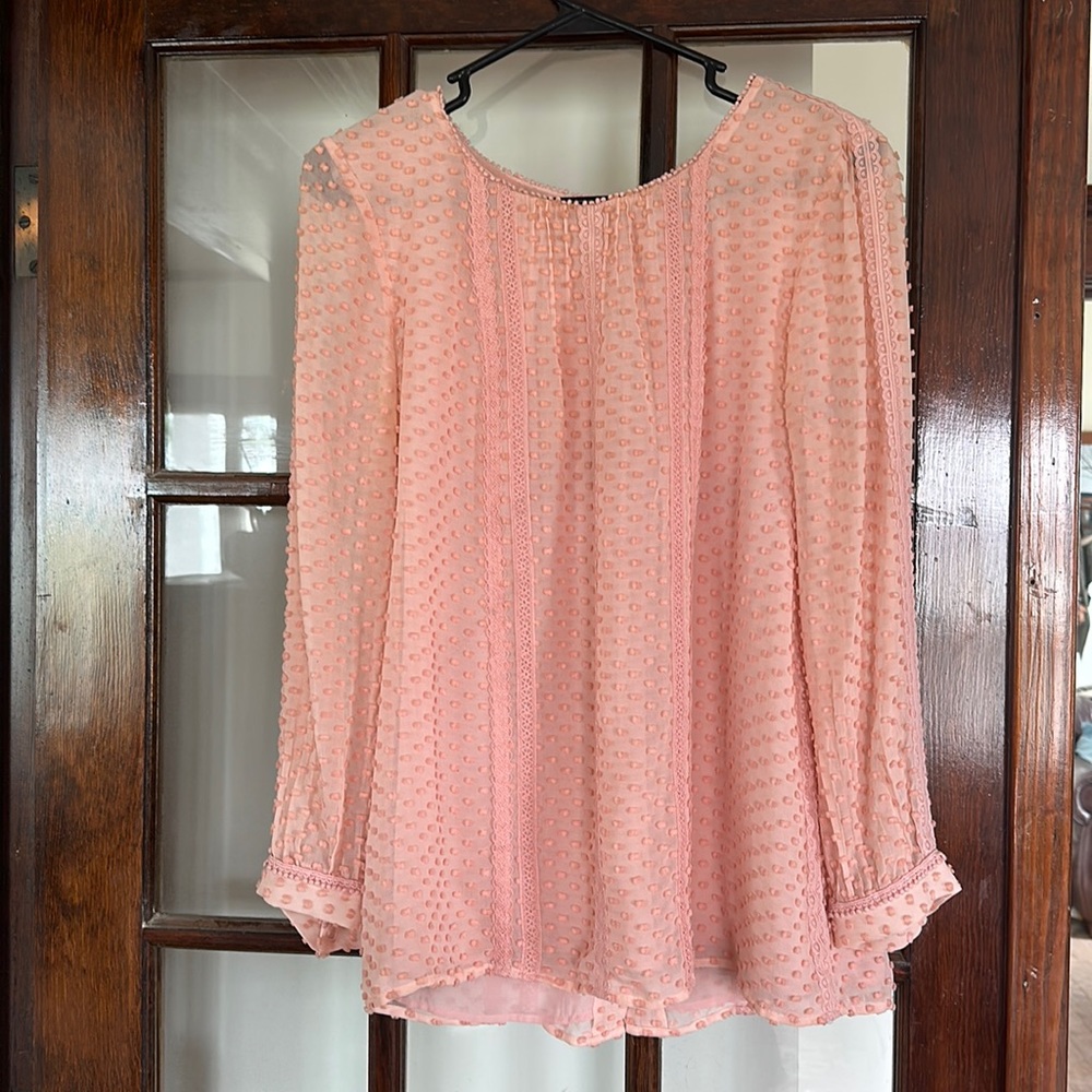 J. Crew Swiss Dot Blouse